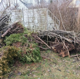 Holz und Hecke zum verfeuern
