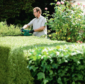 Hecke schneiden, Terrassen Reinigung