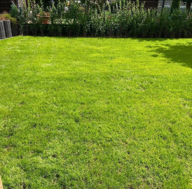 Gartenpflege  Rasen mähen  Hecke schneiden etc