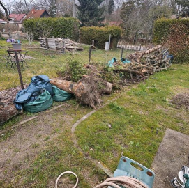 Entsorgung: Gartenabfälle