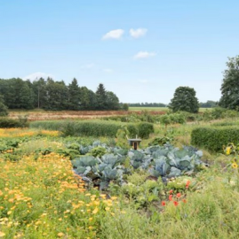 Hilfe im Garten Gärtner Rentner mit Zeit