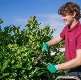 Garten arbeit oder Umzug