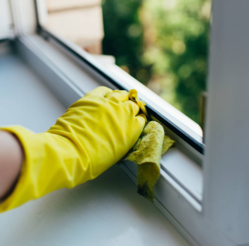 Professionelle Reinigung ihrer Fenster mit Rahmen