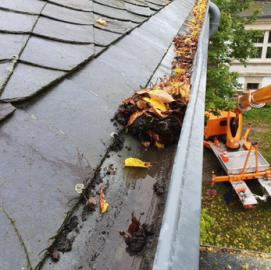 Dachrinnenreinigung bis zu 12m höhe