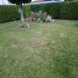 Ich biete Gartenpflege an