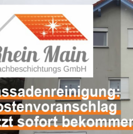 Fassadenreinigung