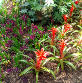 Gartenpflegearbeiten