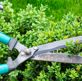 biete Hilfe im Haushalt und Garten an