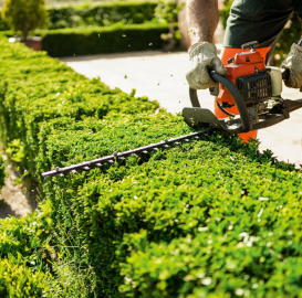 Gartenhilfe mit Erfahrung