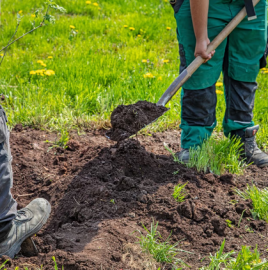 Gartenpflege Laub Beete Gärtner Heckenschnitt Baum