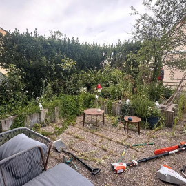 Biete Gartenhilfe, Heckenschnitt, Rollrasen