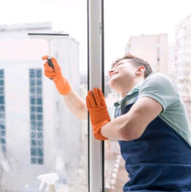 Fensterputzer