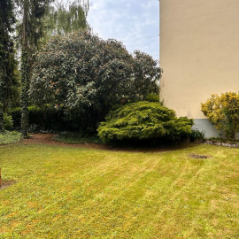 Garten hilfe